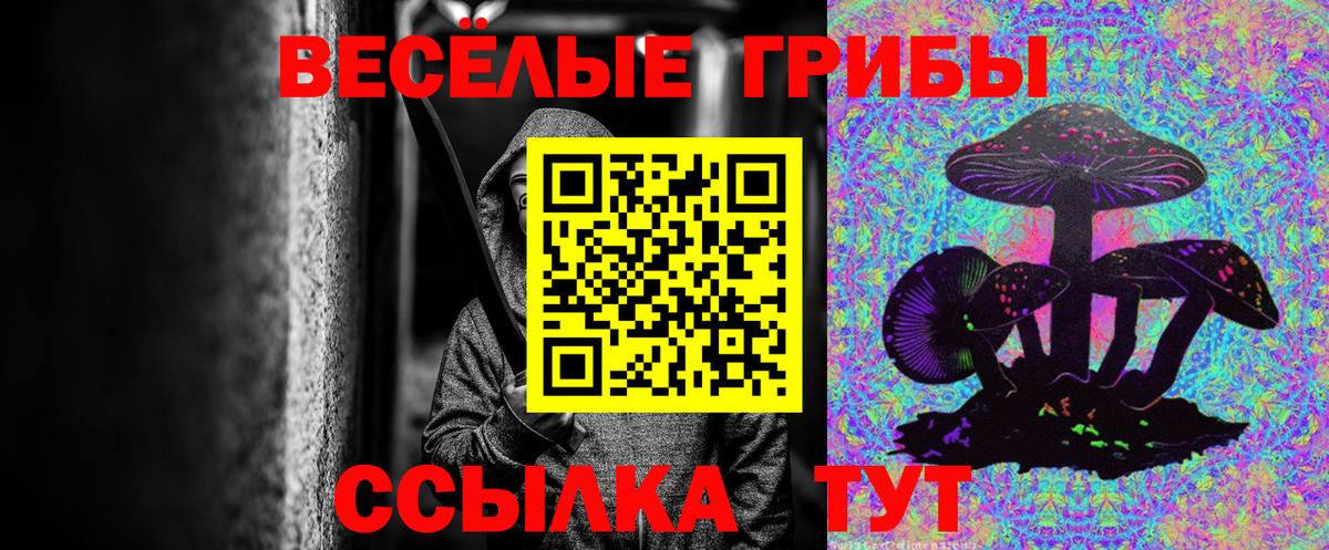 Псилоцибиновые грибы GOLDEN TEACHER  Вход с VPN  где купить наркотик  Владивосток  Галлюциногенные грибы Cubensis 